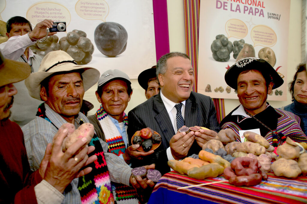 Exhibición de papas nativas peruanas durante una feria del Día Nacional de la Papa organizada por MIDAGRI.