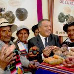 Exhibición de papas nativas peruanas durante una feria del Día Nacional de la Papa organizada por MIDAGRI.