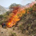 Emergencia en Cusco: Más de 11 mil hectáreas devastadas por incendios forestales y primeras condenas