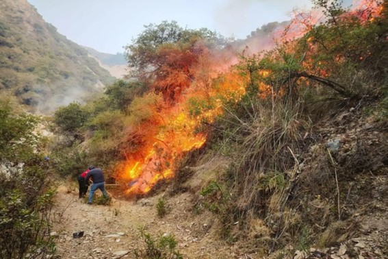IMAGEN INCENDIO